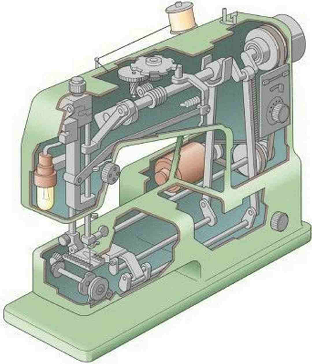 Các bộ phận bên trong máy may mini