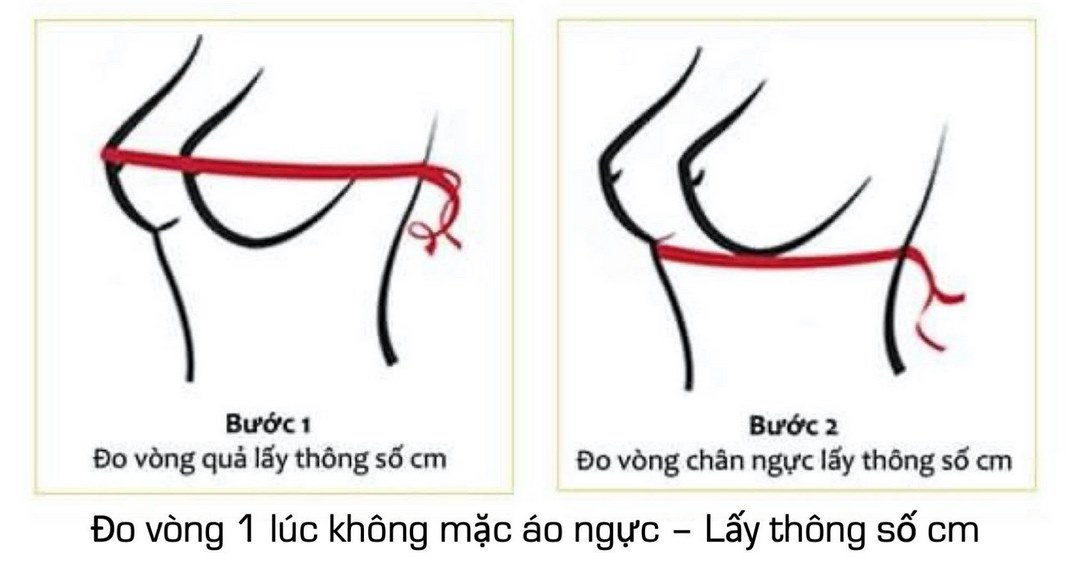 Chi tiết cách đo lấy kích thước vòng ngực chính xác