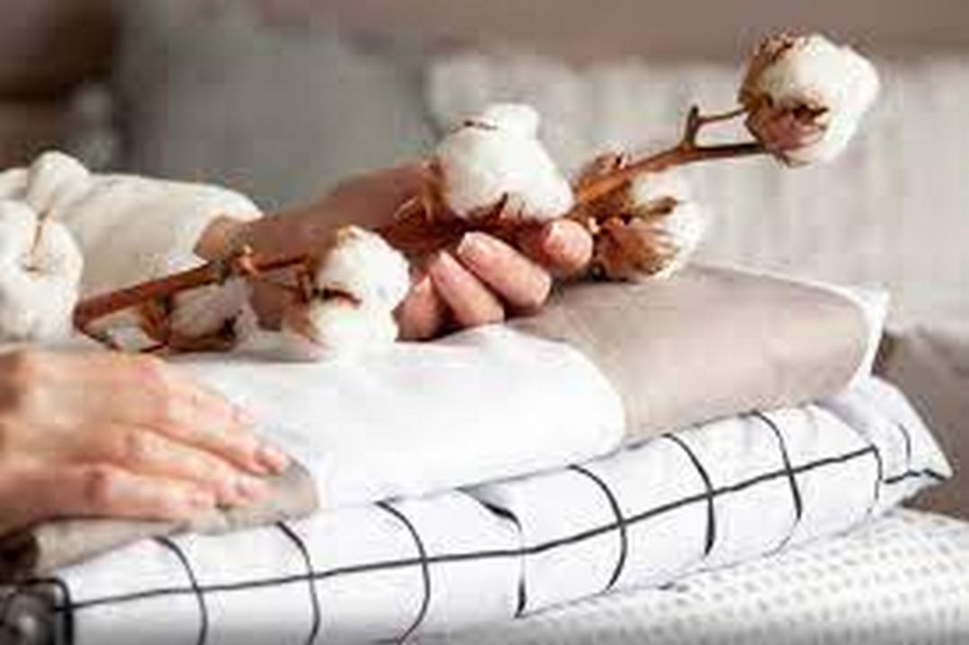 Vải cotton - một trong những loại vải phổ biến nhất trên thế giới